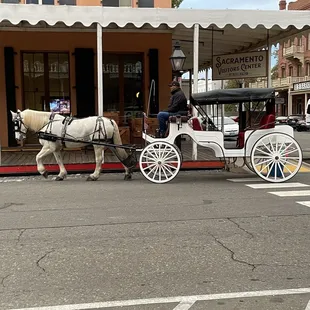 Tourist horse drawn carriage