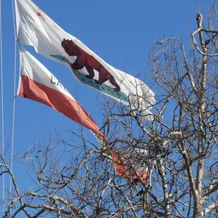 The state flag need repairing or replacing.