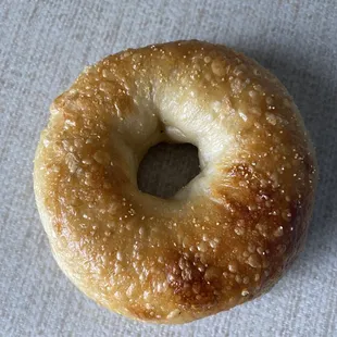 Plain bagel, perfectly salted on top