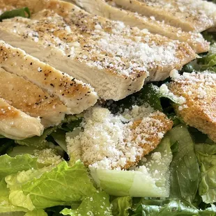 Chicken Caesar Salad