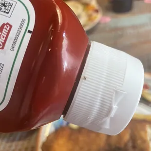 Dead ant on the Ketchup