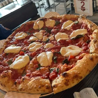 XX-Large Regina Margherita