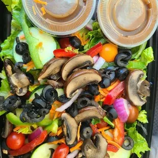 Vegan Salad with extra dressing
