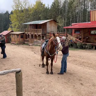 Staff assisting with getting horse (named Gizzmo, very friendly)