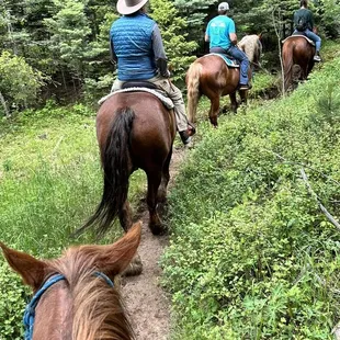 Trail ride