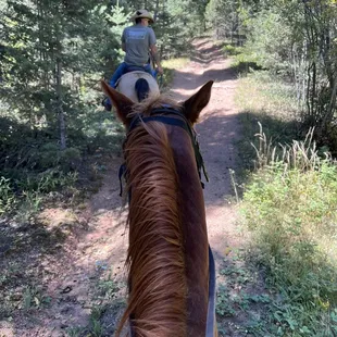 Brandon riding JJ on a trial.