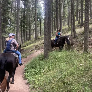 Riding the trails through the woods