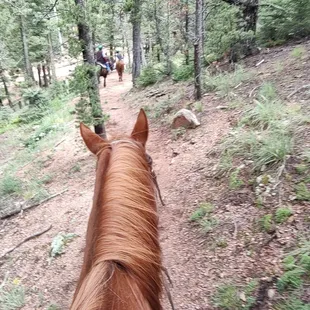I had a wonderful ride. So relaxing. The staff was wonderful and the horse where a pleasure to be around. Will definitely do again.