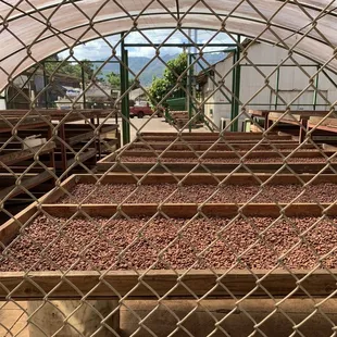 Drying place on the back