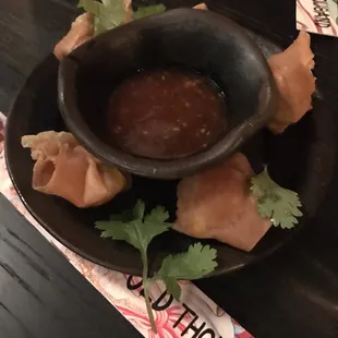 Crispy Wontons