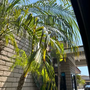 Drive thru