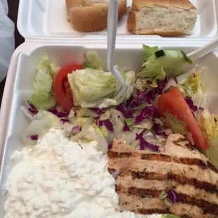Chicken Breast Plate