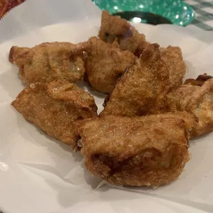 Fried Dumplings