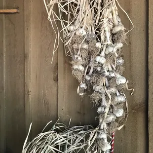 a bunch of garlic hanging from a wall
