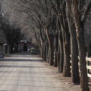 Discover Old Town Farm