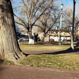 2/17/19 Crisp cold morning at the old town gazebo