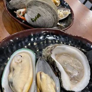 Oysters