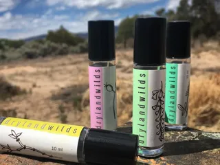 Dryland Wilds
