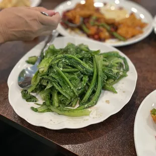 Sautéed Chinese Lettuce!