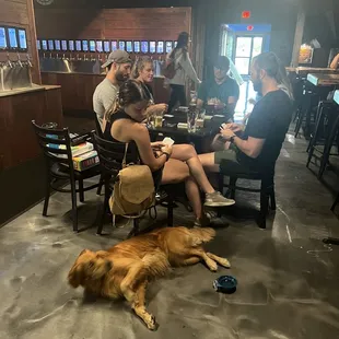 DOG FRIENDLY @ BEER HALL!!!!