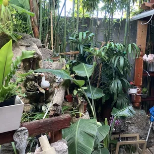 Inside decor