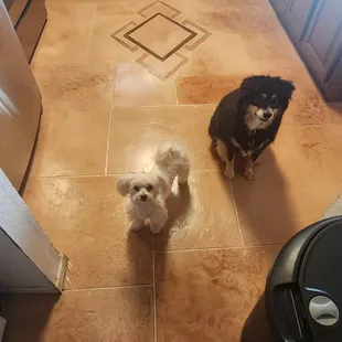 Our textured cement floors restored!!! THANK YOU!!!!