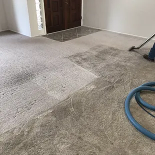 Even 40 year old worn out carpets respond to a good steam cleaning.