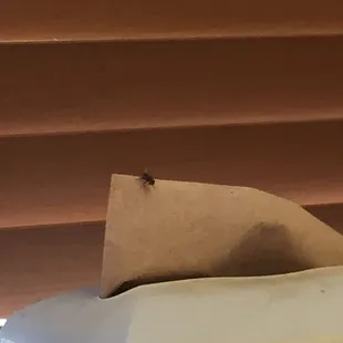 a piece of paper sitting on top of a toaster oven