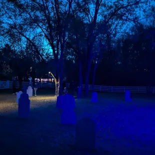 Real ghost in the real graveyard?