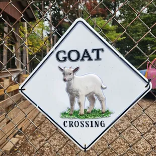 Free animal encounter after you leave the restaurant