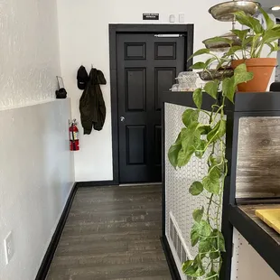 Gender neutral restroom  and a happy pothole plant