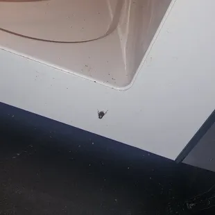 Right after I heated up my food.