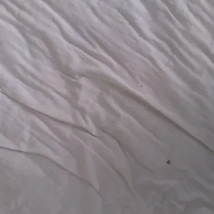 Hair and dirt all over the sheets. Looks like they weren't even cleaned.
