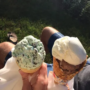 Minty Mint Chocolate Chip