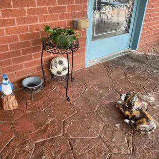 Cute outdoor setting for doggies