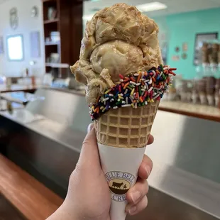 Waffle Cone + 1 Scoop Ice Cream