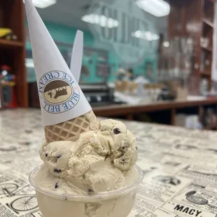 1 Scoop Ice Cream