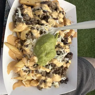 Surf and turf fries.