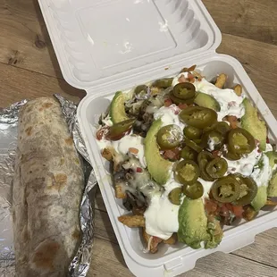 Carne Asada Fries and regular Burrito