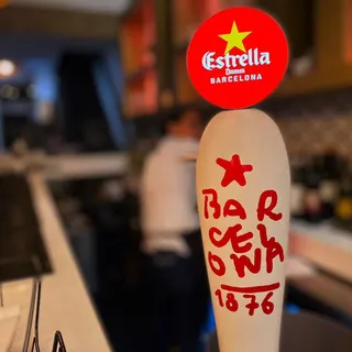 Beer