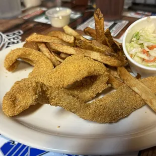 Cat fish lunch portion