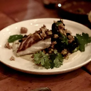 Striped sea bass, Black Eyed Pea Salad, Hawaij Tarator, Cashew Crumb