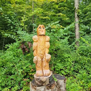 Cute Big Foot on the walking trail