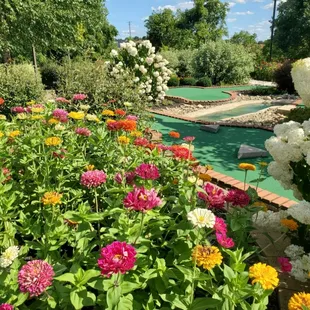 Flowers in bloom all around both mini golf courses!
