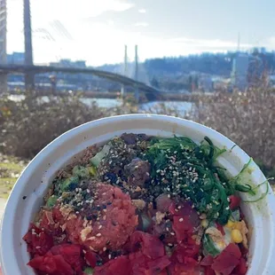 2 Proteins Poke Bowl