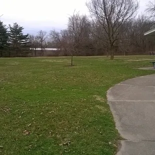 green space with newly planted trees