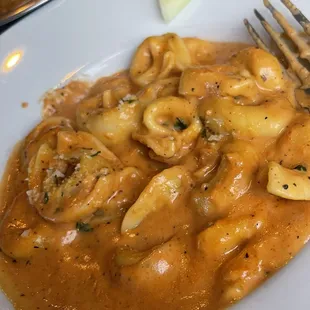 Creamy tortellini and vodka sauce
