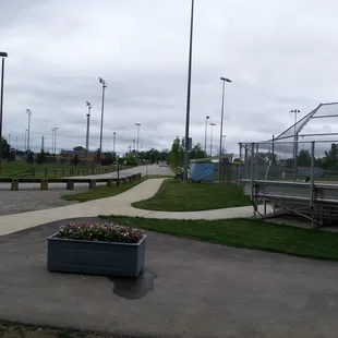 Ball fields