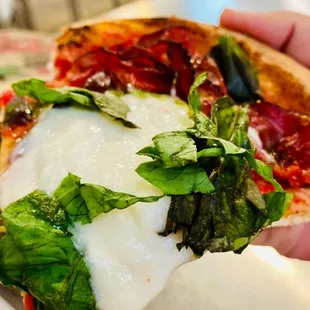 a hand holding a piece of pizza