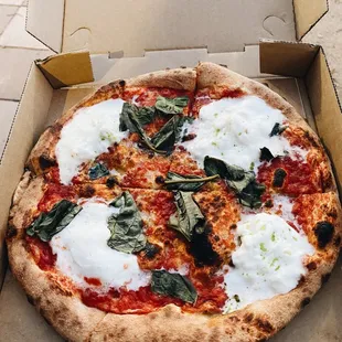 margherita plus pizza